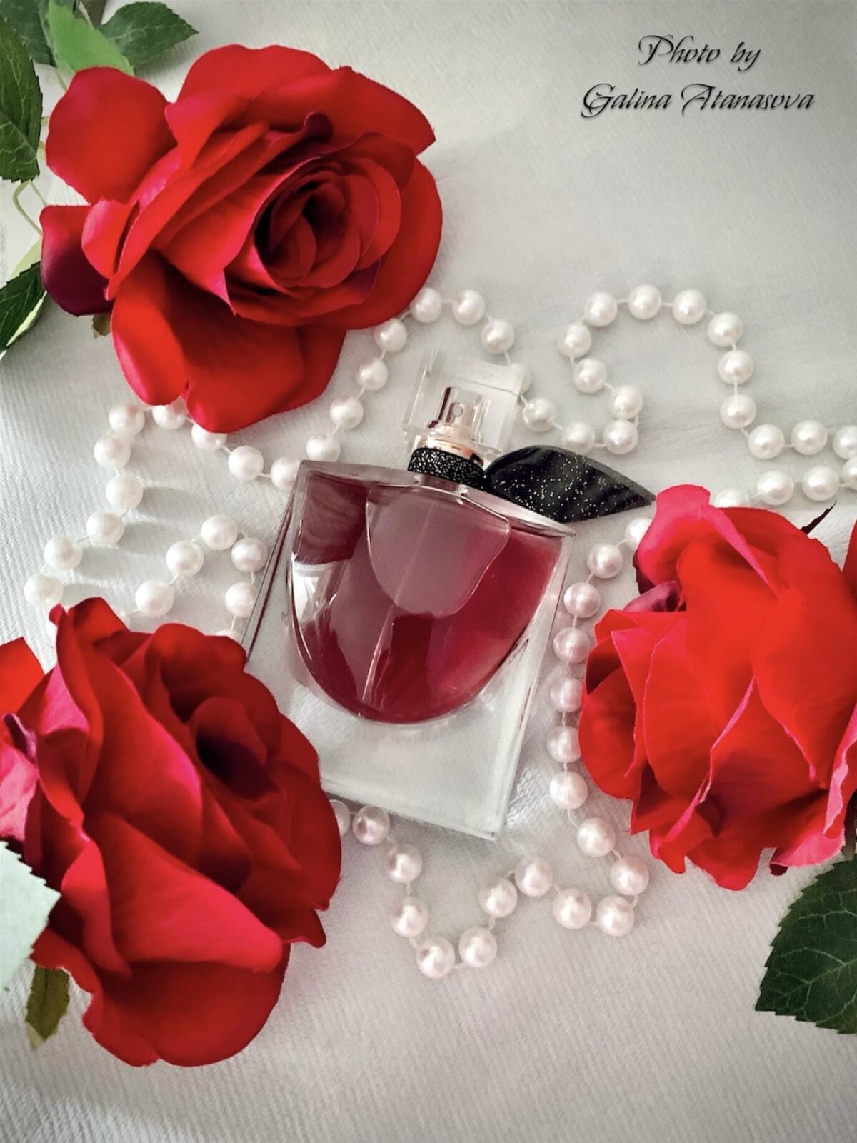 La Vie est Belle L'Elixir 100ML
