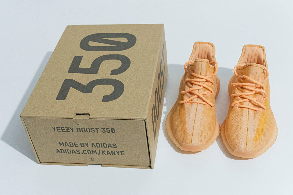 Yeezy Boost 350 V2 GW2870