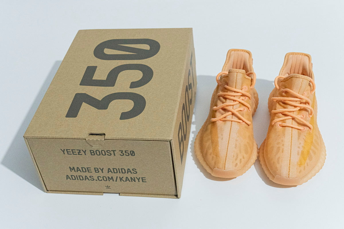 Yeezy Boost 350 V2 GW2870