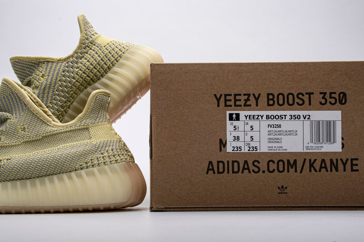 Yeezy 350 Boost V2 Antlia FV3250